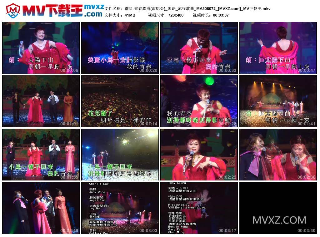 群星-青春舞曲(演唱会)_国语_流行歌曲_MA308072